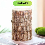 Brazilian Lucky Wood, Mini Home Plant Decorations	(Pack of 2)